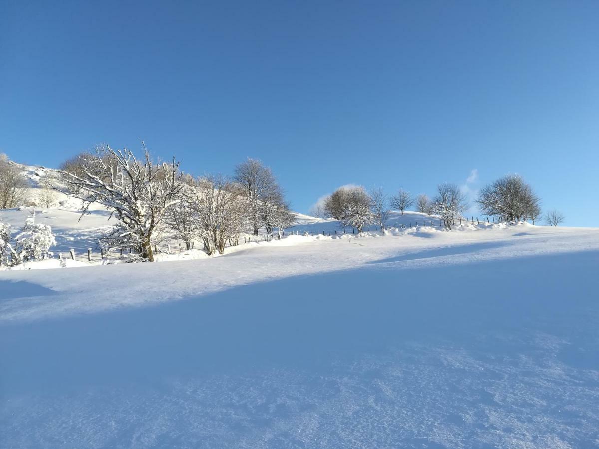Gites De Moyenmont La Bresse Exteriör bild